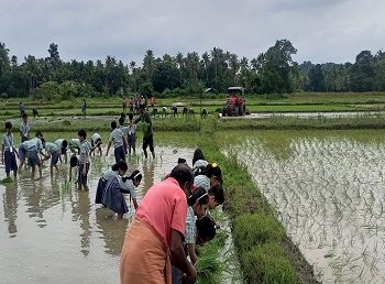 Field Trip- Agricultural & Nallapadam Club